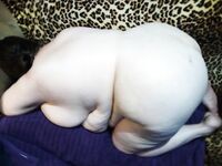 Side view of a fatty