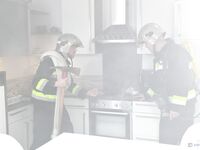 Monika Fox - Lets 2 Firemen Who Put Out A House Fire DP Her