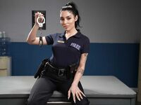Kayley Gunner, Vanessa Sky  - Good Cop, Bad Bitch