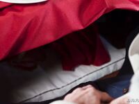 Yasmina Khan - The Bengali Dinner Party