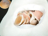 LUCY LI -- SUZIE CARINA