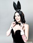 Bunny Madison - The House Bunny