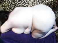 Side view of a fatty