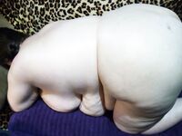 Side view of a fatty