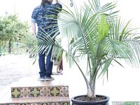 Ashly Anderson - Creampie Creates Army Brats