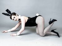 Bunny Madison - The House Bunny