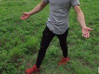 Alex Coal