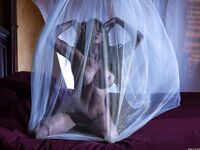 Madison Ivy - Payback's a Bitch