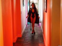 Madison Ivy - Madison On The Prowl