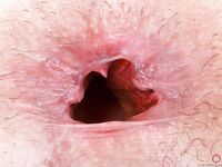 AMKingdom Nicole Nichols - Amateur - Set #406001 - 132 image