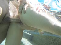 [ThirdMovies.com] AJ Applegate - Water World Underwater Sex