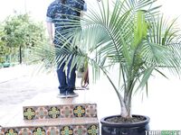 Ashly Anderson - Creampie Creates Army Brats