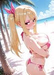 LUCY HEARTFILIA NOCTORELLA