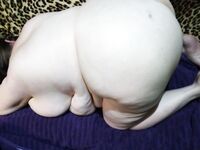 Side view of a fatty