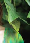[JP] Mino Suzume (美乃すずめ) - アサ芸SEXY女優写真集 ｎｙｍｐｈo