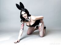 Bunny Madison - The House Bunny