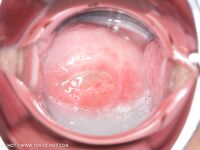 Tokyo Hot N0672 (20/08/2011) Set4