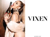 ALINA LOPEZ,EMILY WILLIS,KENZIE ANNE-(VIXEN)Breaking Through